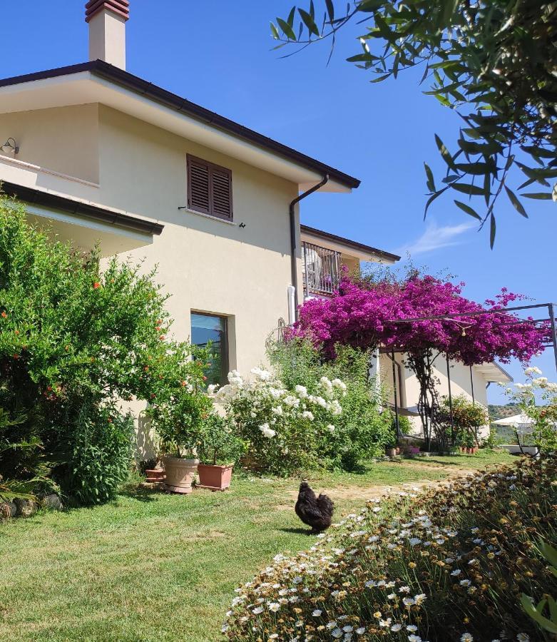 La Casa Di Stefania Apartment Pollutri Exterior photo